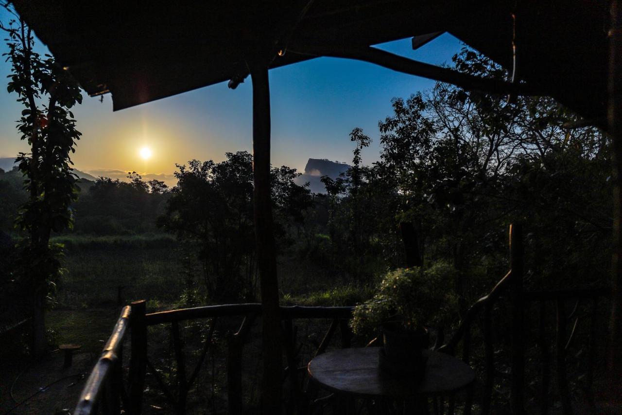 Sigiriya Rock Gate Tree House 호텔 외부 사진