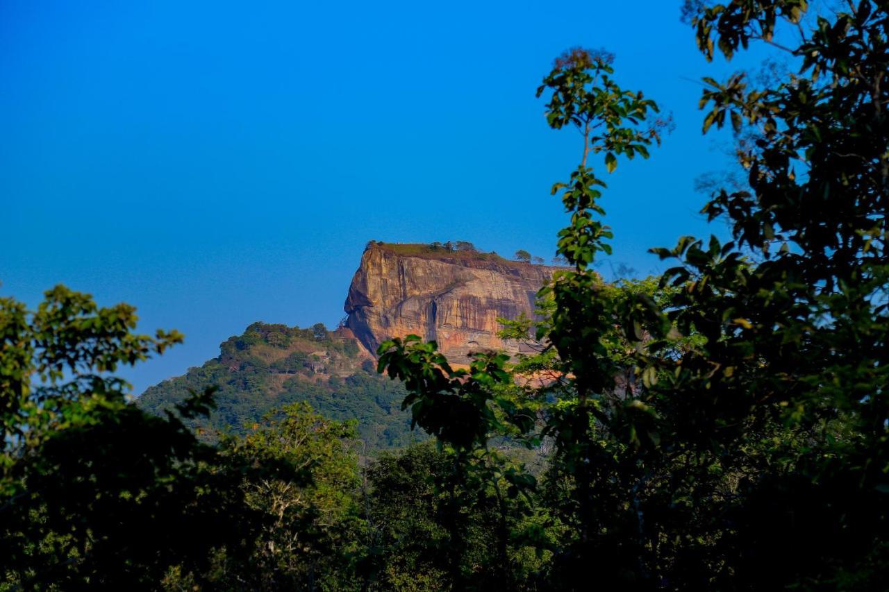 Sigiriya Rock Gate Tree House 호텔 외부 사진