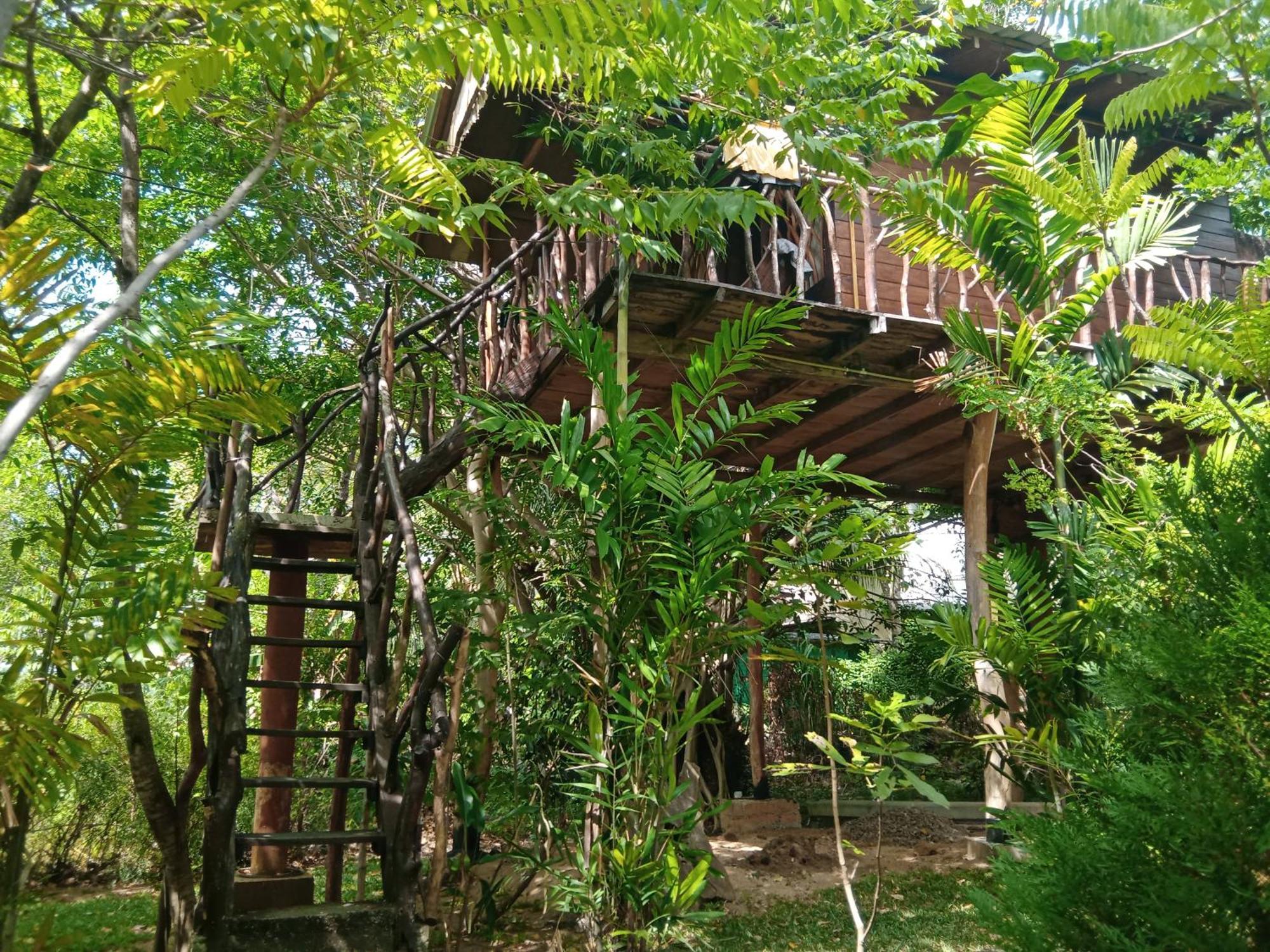 Sigiriya Rock Gate Tree House 호텔 외부 사진