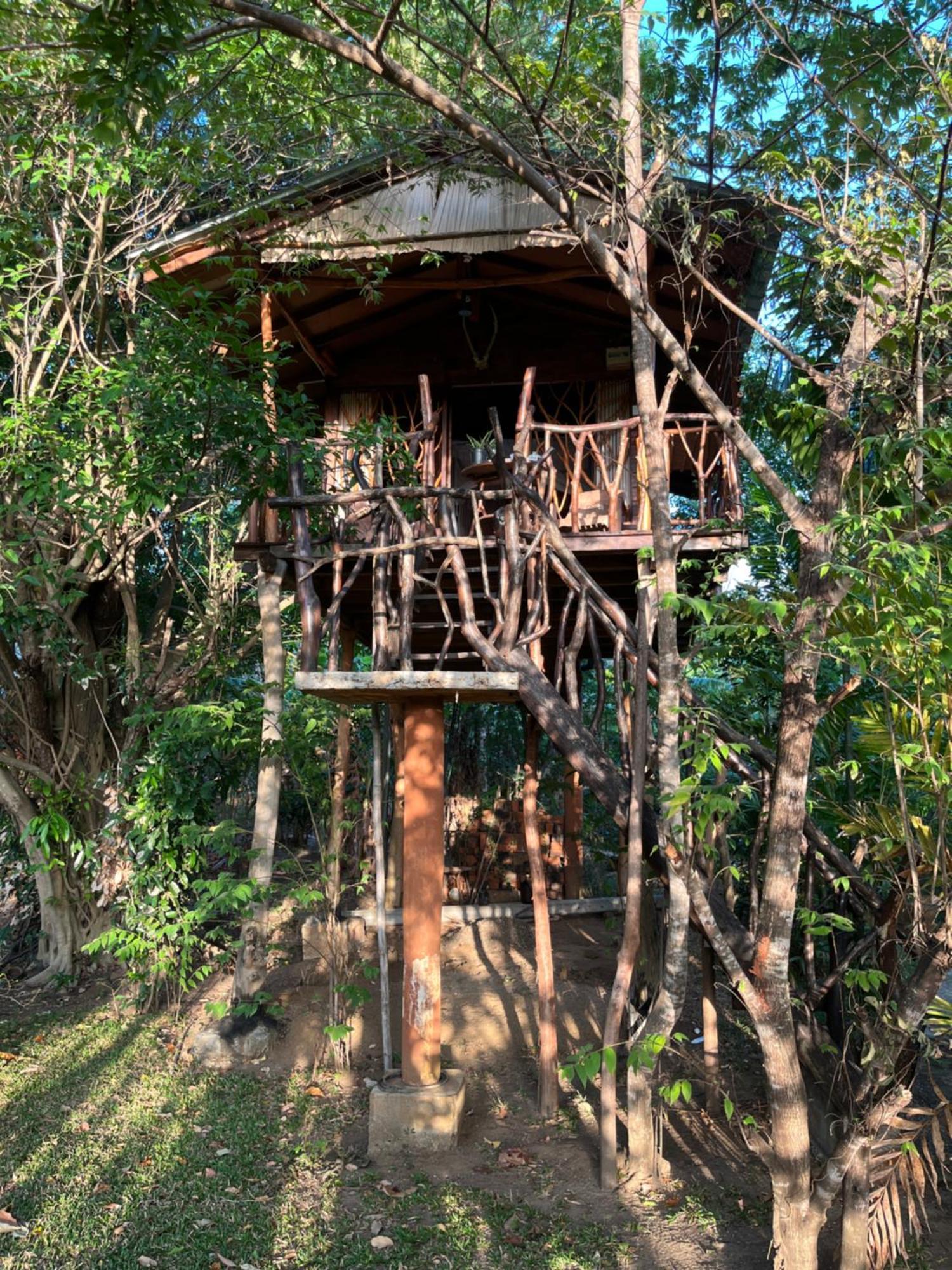 Sigiriya Rock Gate Tree House 호텔 객실 사진