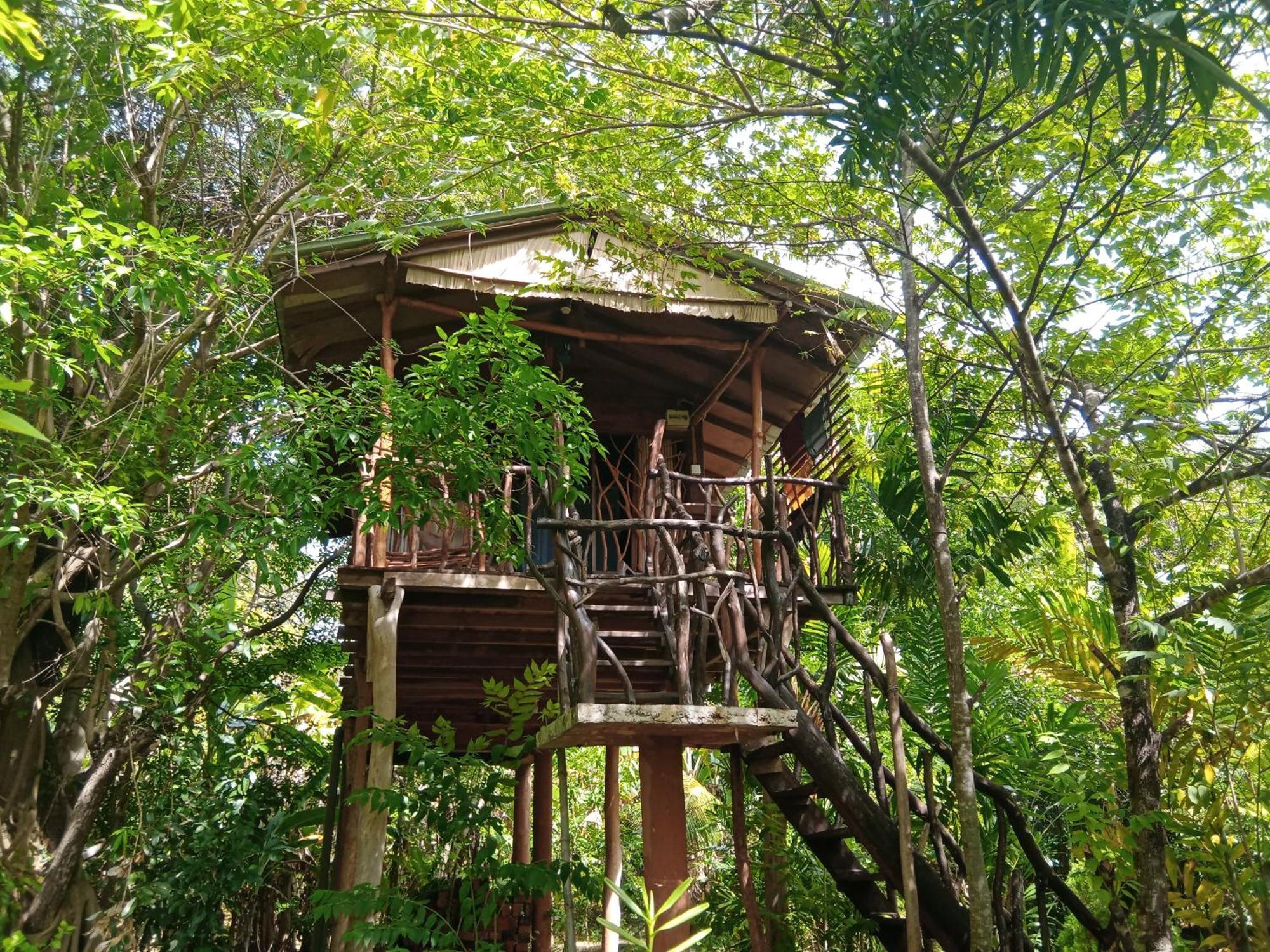 Sigiriya Rock Gate Tree House 호텔 객실 사진